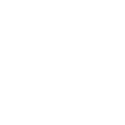 Iris Logo – White 180 2